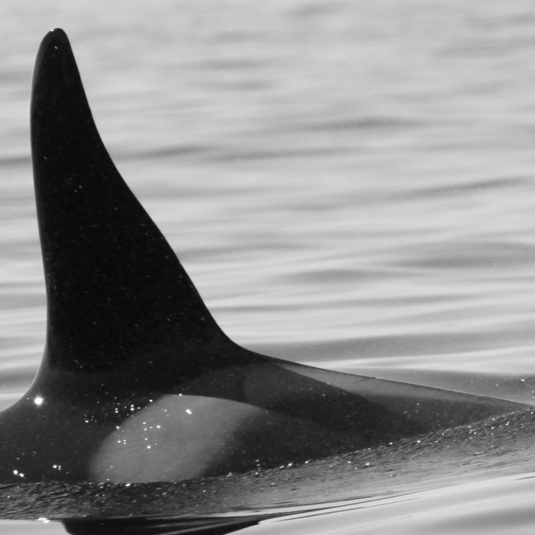 IS306 (Photo by Sara Tavares)