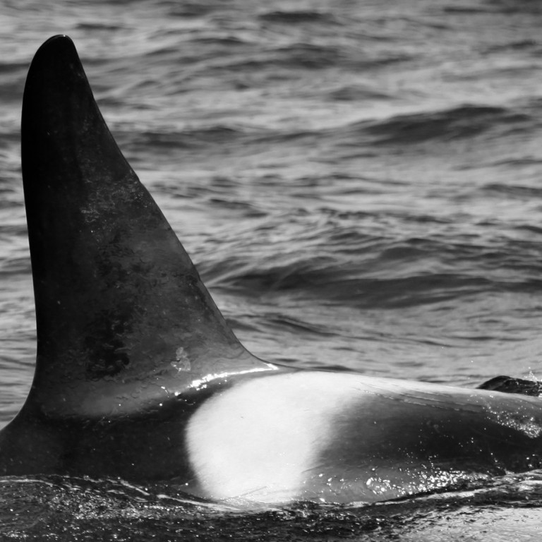 IS323 (Photo by Sara Tavares)