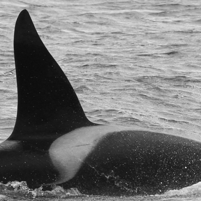 IS324 (Photo by Judith Scott/Láki Tours)