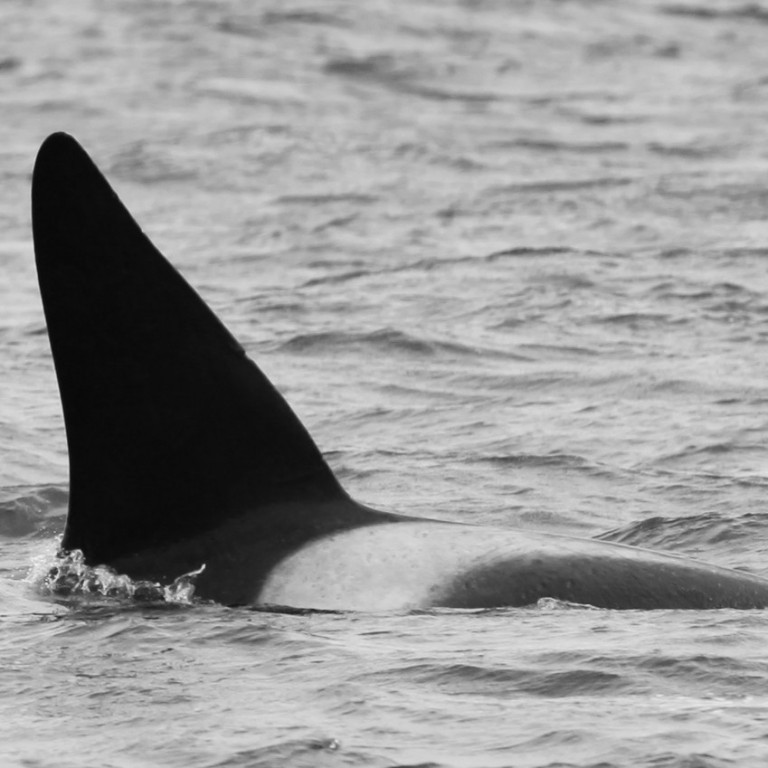 IS325 (Photo by Sara Tavares)