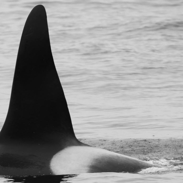 IS330 (Photo by Sara Tavares)