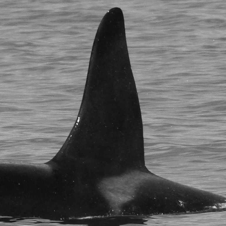 IS331 (Photo by Már Höskuldsson)