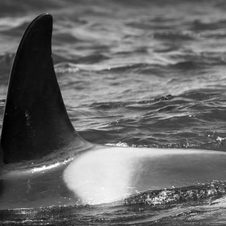 IS332 (Photo by Sara Tavares)