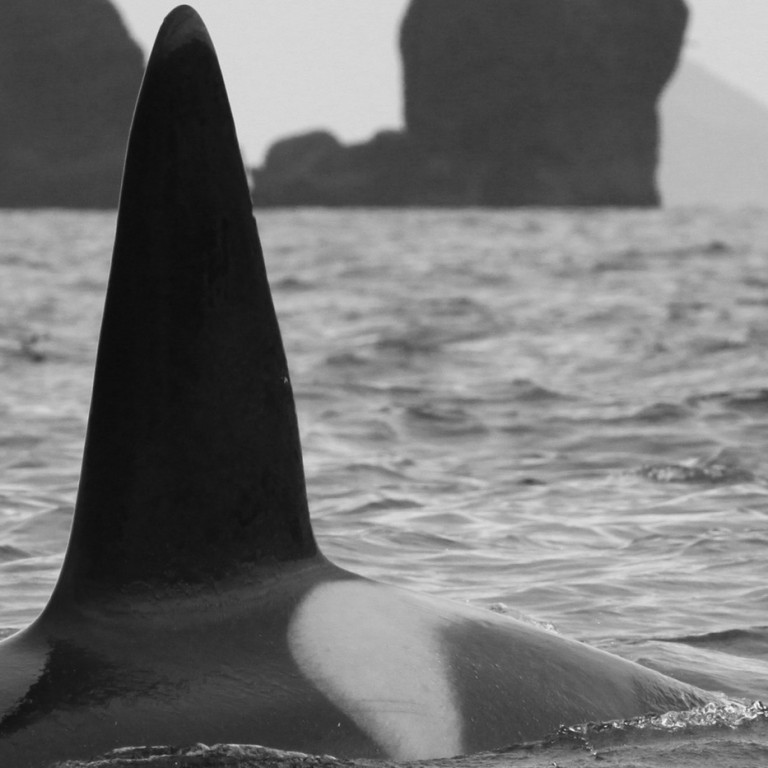 IS338 (Photo by Filipa Samarra)