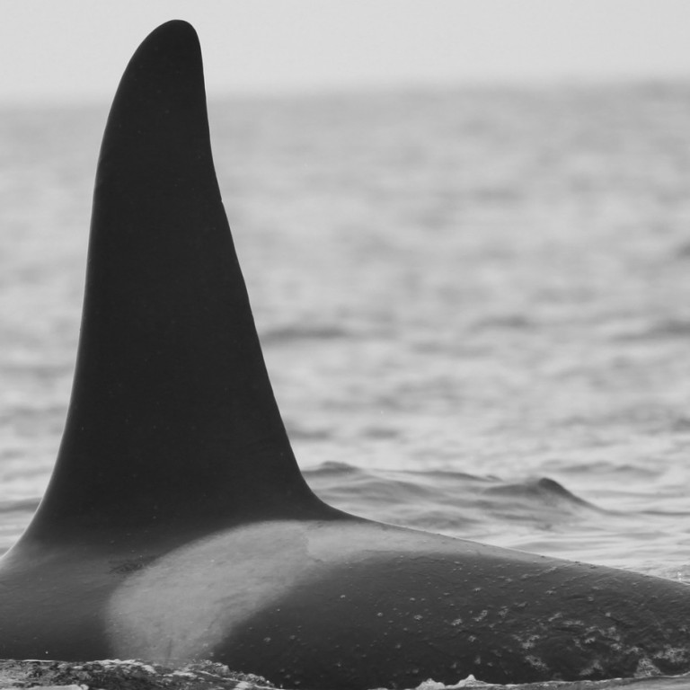 IS378 (Photo by Sara Tavares)