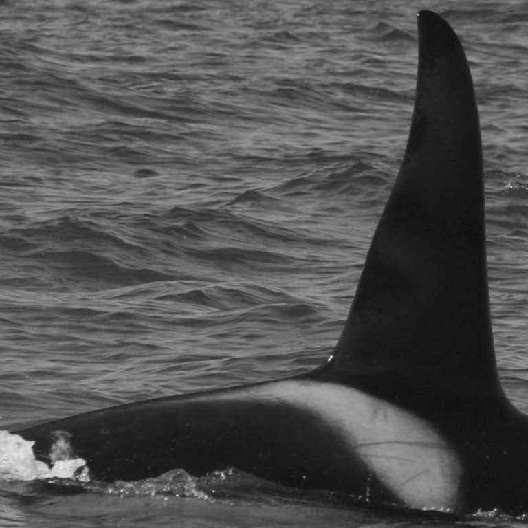 IS001 (Photo by Annika Firmenich)