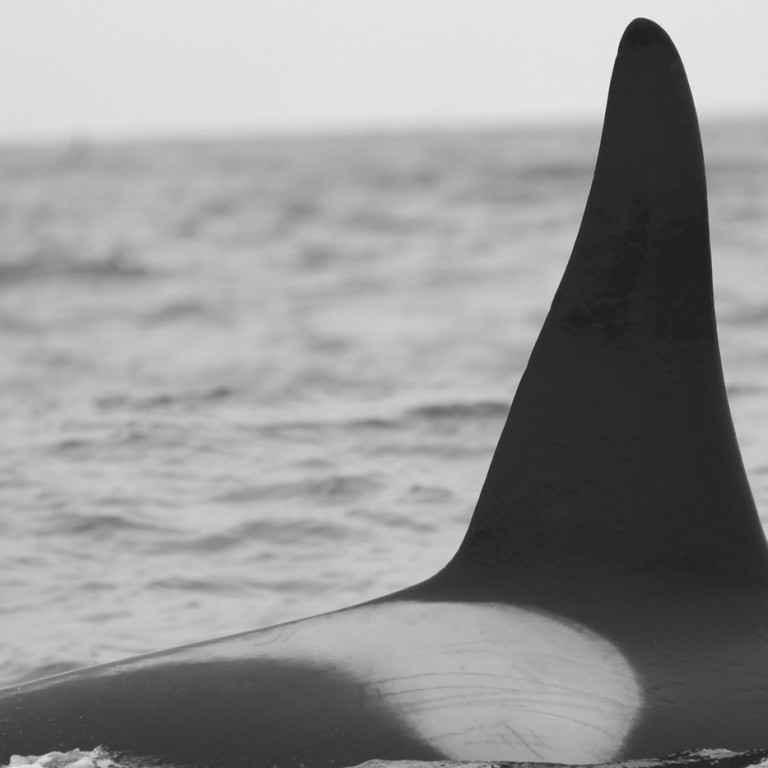 IS008 (Photo by Sara Tavares)