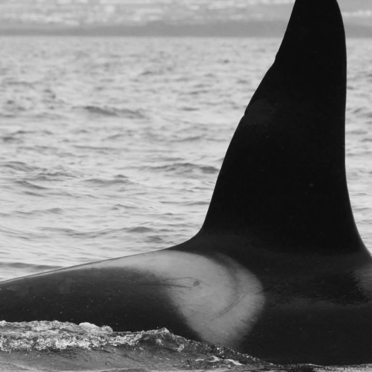 IS033 (Photo by Sara Tavares)