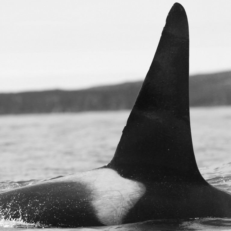 IS038 (Photo by Sara Tavares)