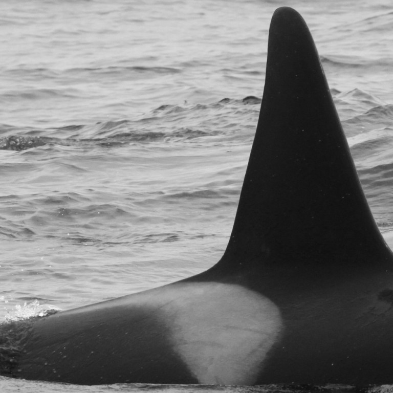 IS040 (Photo by Sara Tavares)