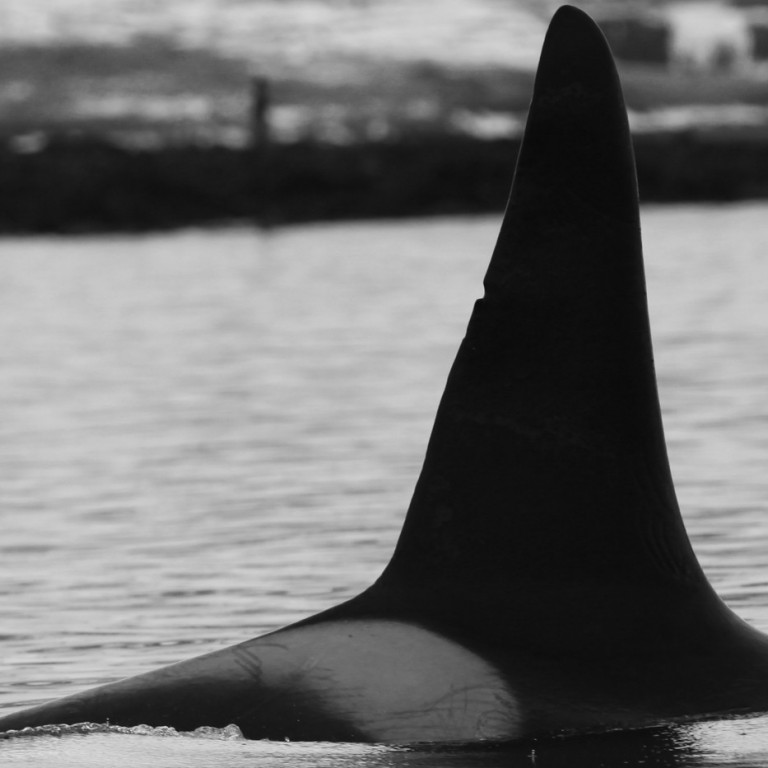 IS042 (Photo by Sara Tavares)