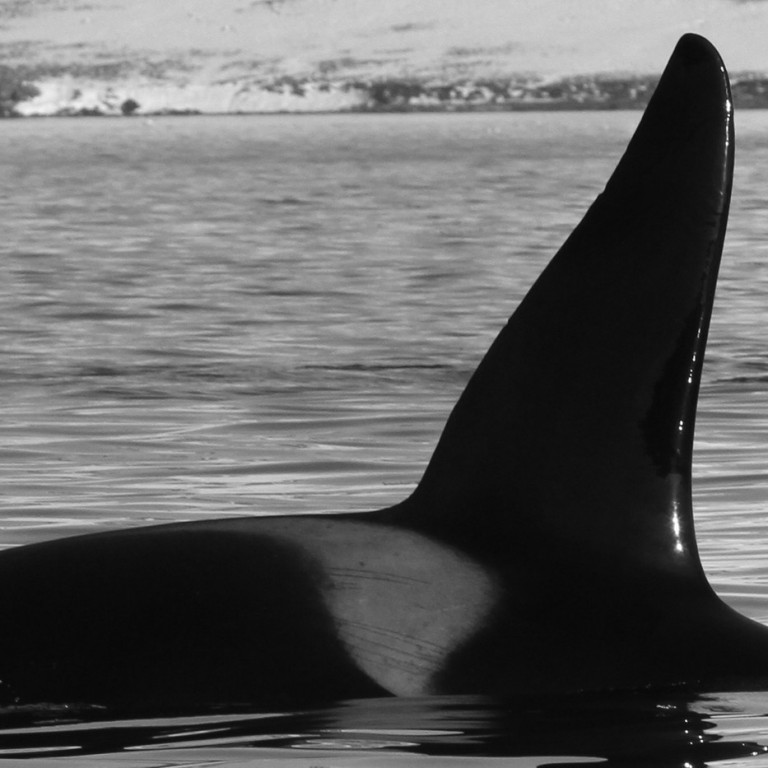 IS044 (Photo by Olga Filatova)