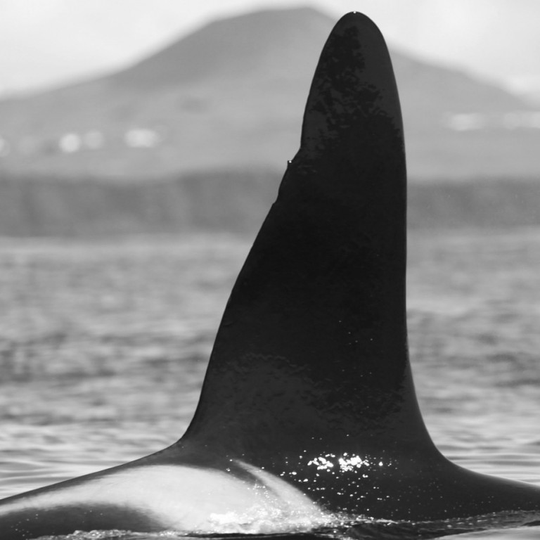 IS055 (Photo by Sara Tavares)