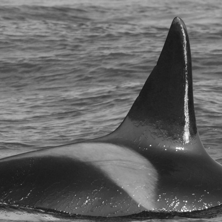 IS056 (Photo by Cathy Harlow)