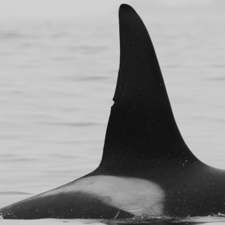 IS067 (Photo by Sara Tavares)