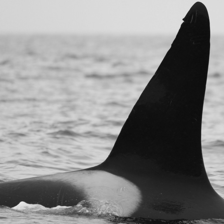 IS068 (Photo by Sara Tavares)