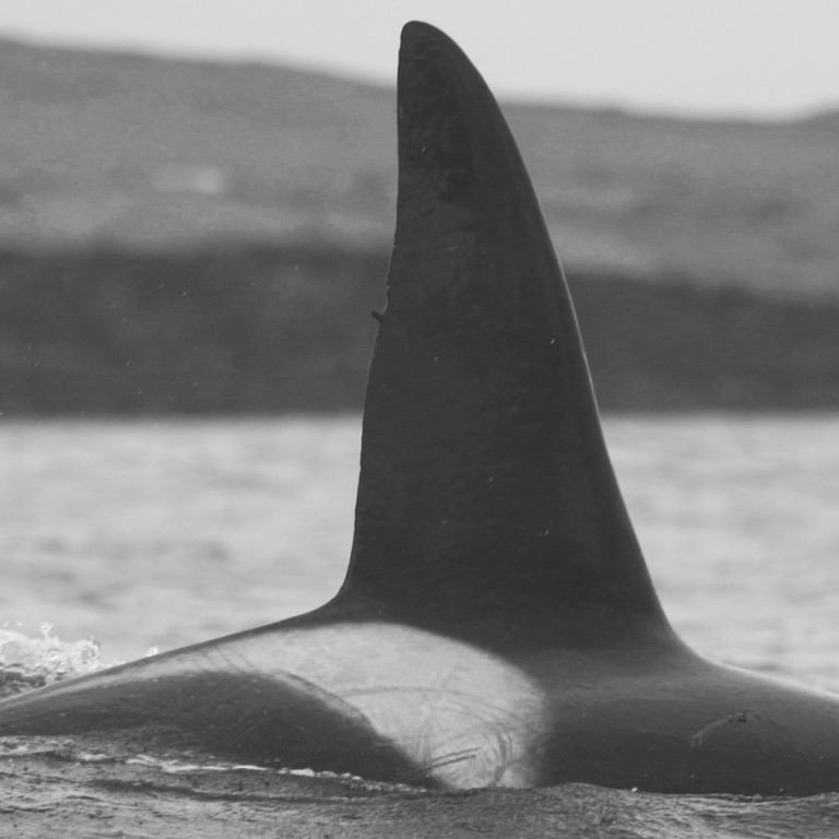 IS070 (Photo by Sara Tavares)