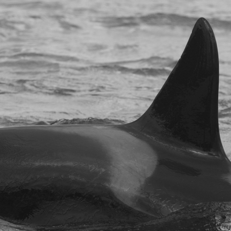 IS071 (Photo by Julie Béesau)