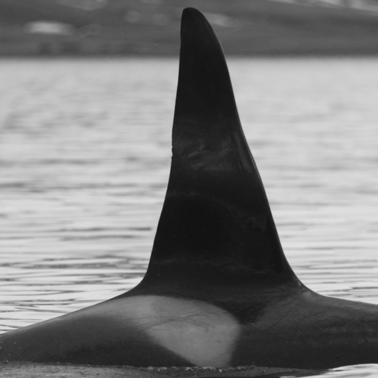 IS075 (Photo by Sara Tavares)