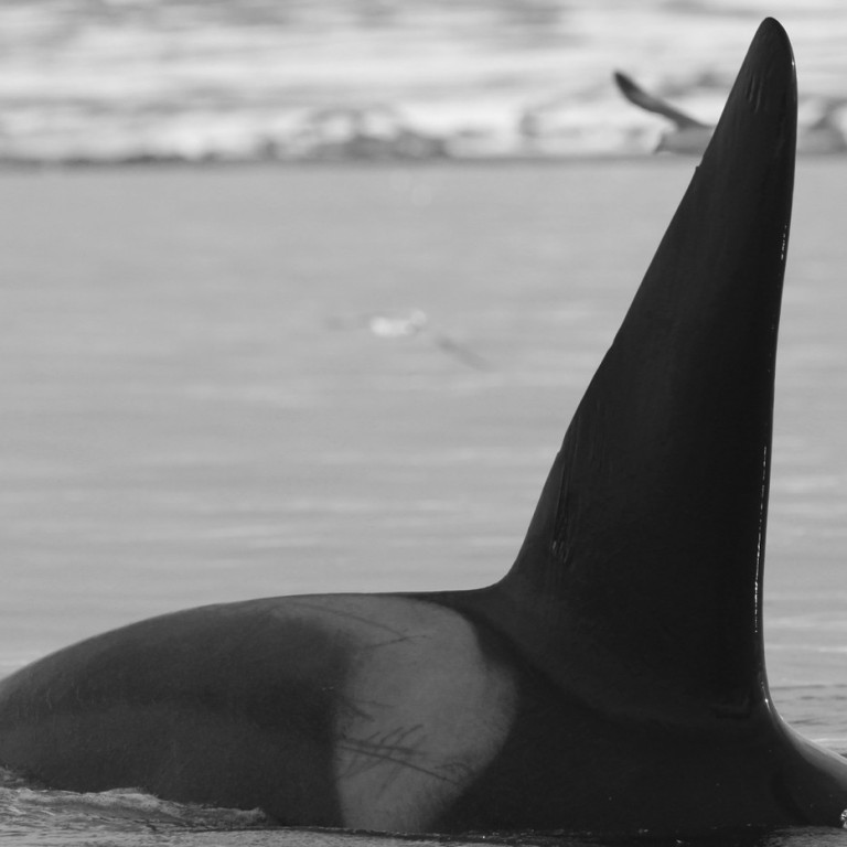 IS087 (Photo by Sara Tavares)