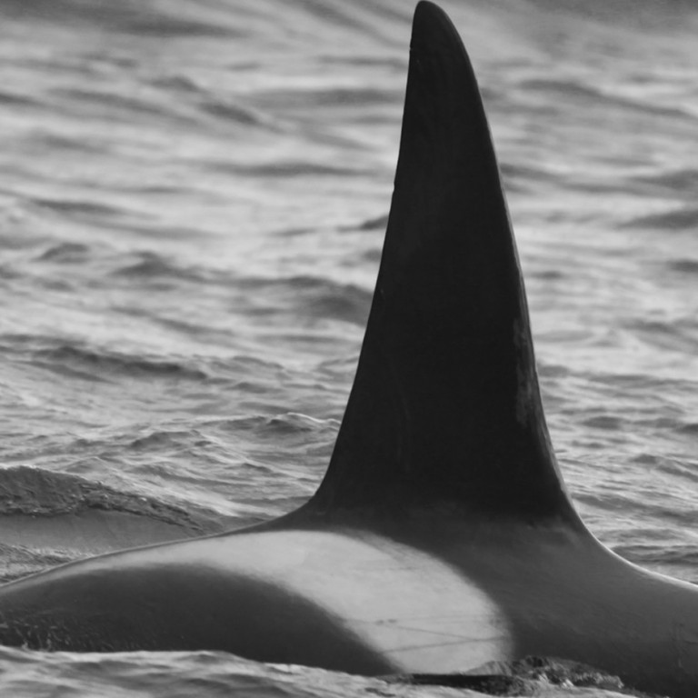 IS090 (Photo by Sara Tavares)