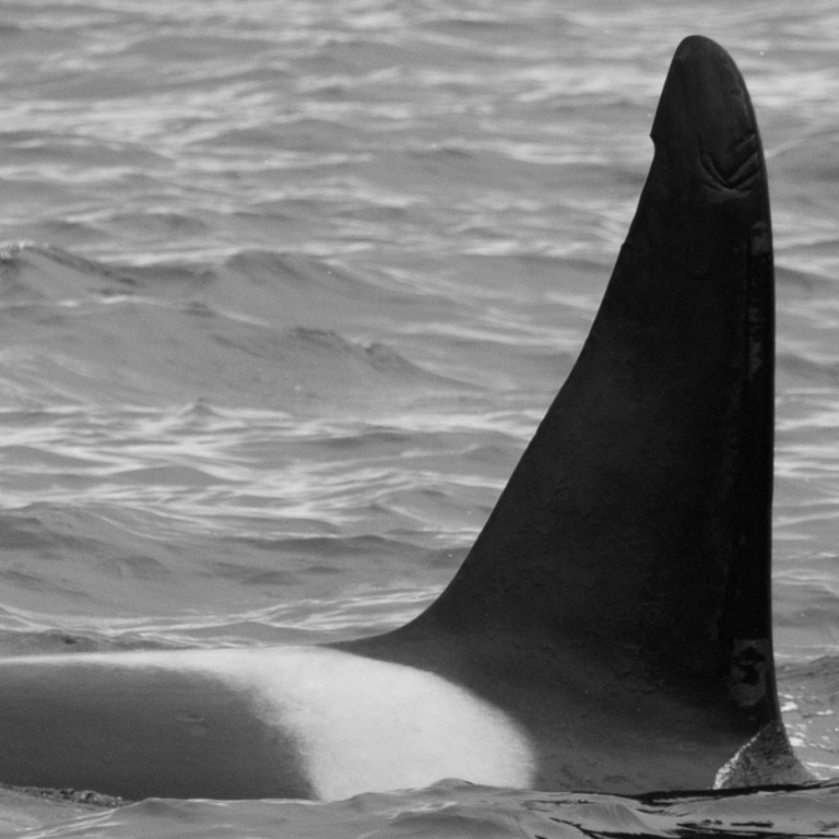 IS092 (Photo by Caroline Weir)