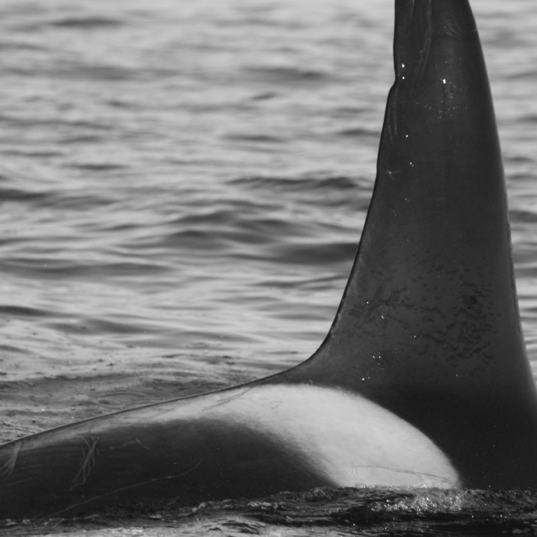 IS170 (Photo by Marjoleine Roos)