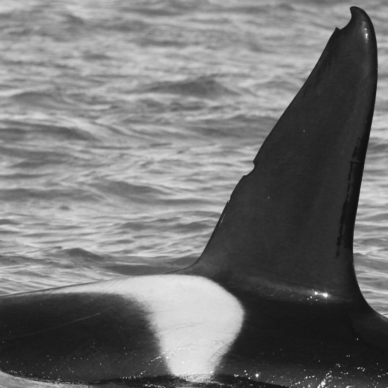 IS178 (Photo by Judith Scott/Láki Tours)