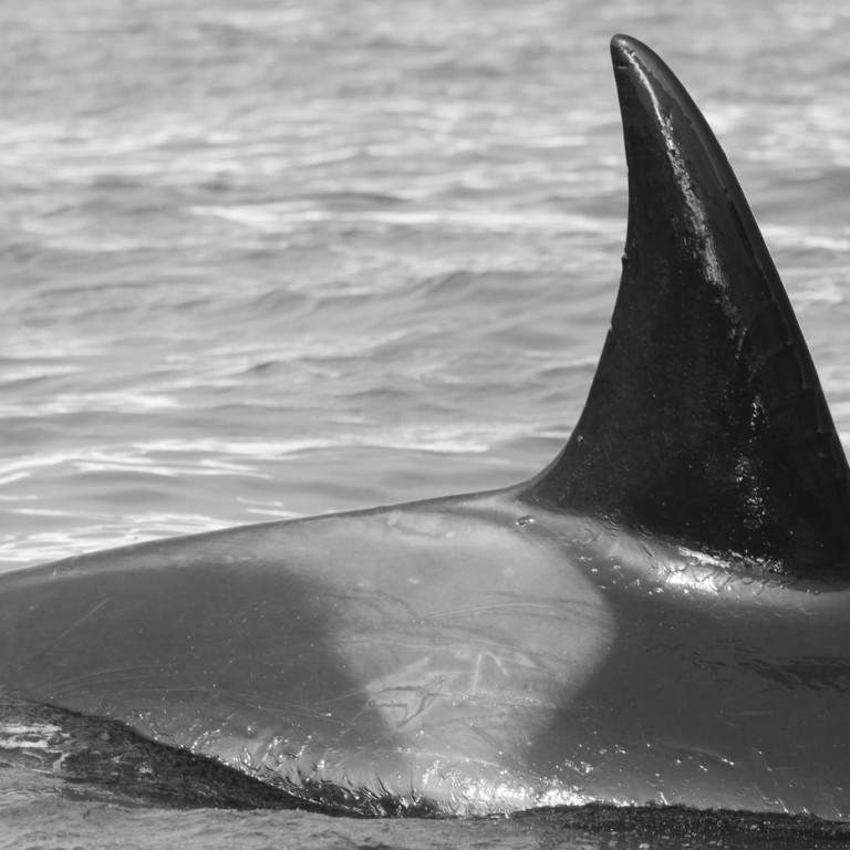 IS229 (Photo by Sara Tavares)