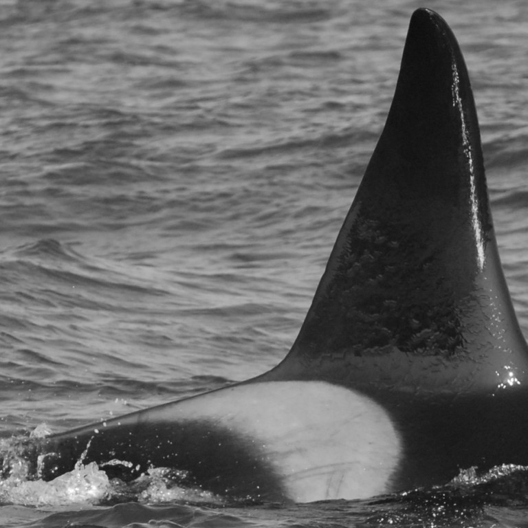 IS237 (Photo by Cathy Harlow)
