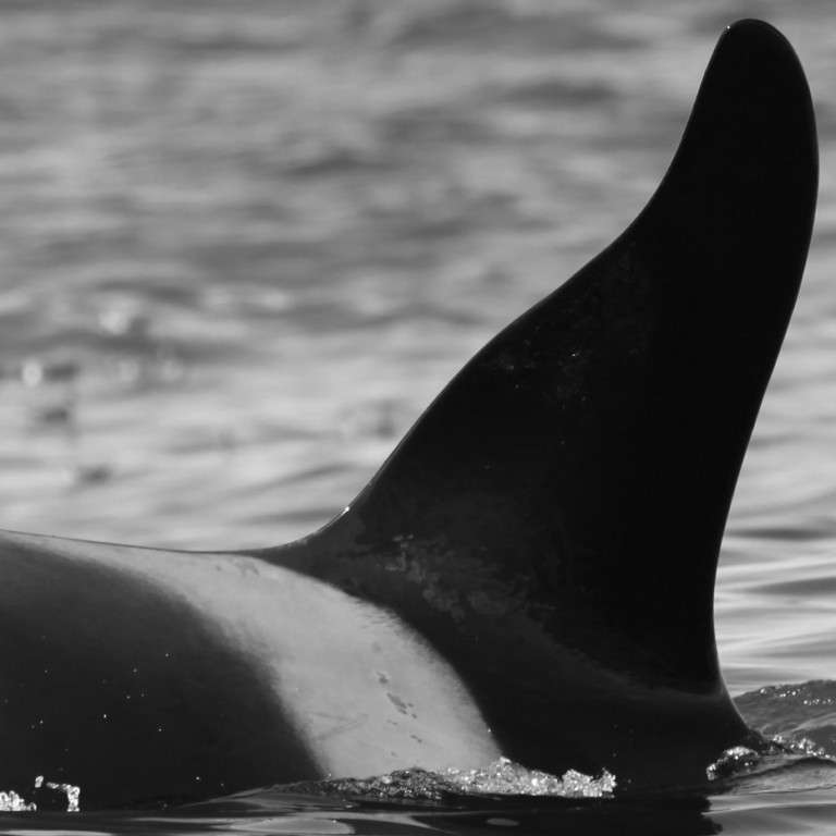 IS251 (Photo by Sara Tavares)