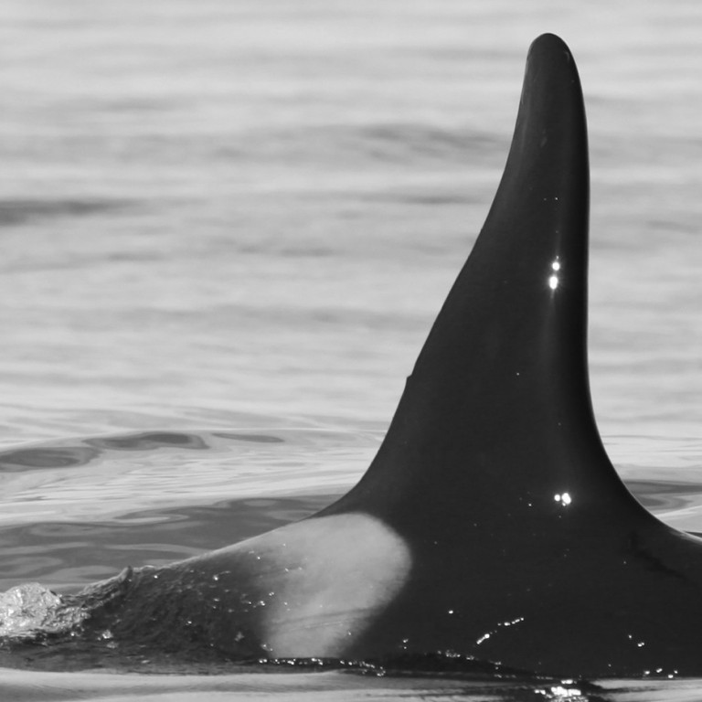 IS258 (Photo by Sara Tavares)