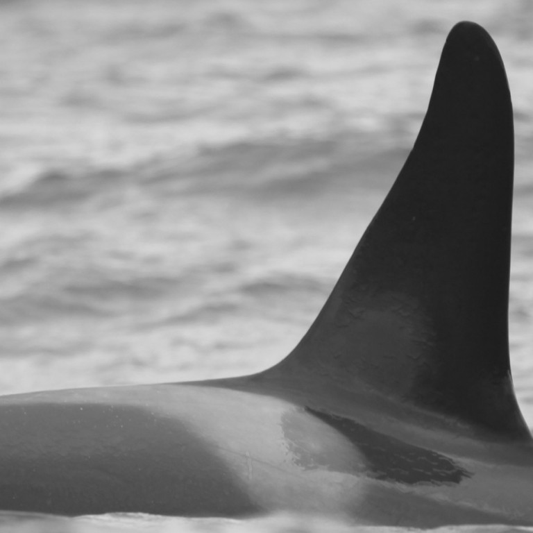 IS280 (Photo by Sara Tavares)