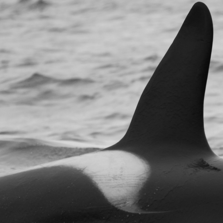 IS289 (Photo by Sara Tavares)