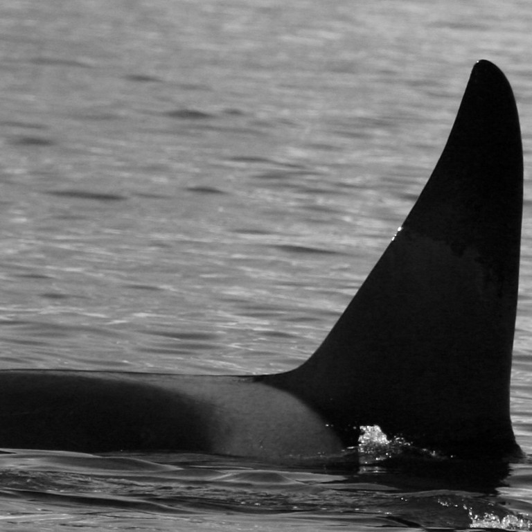 IS341 (Photo by Marjoleine Roos)