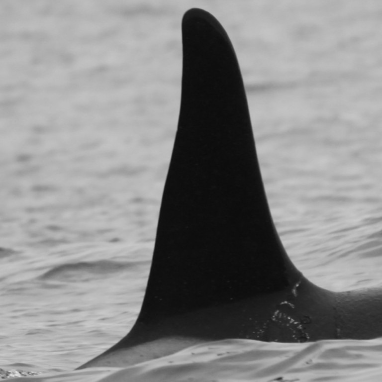 IS378 (Photo by Sara Tavares)