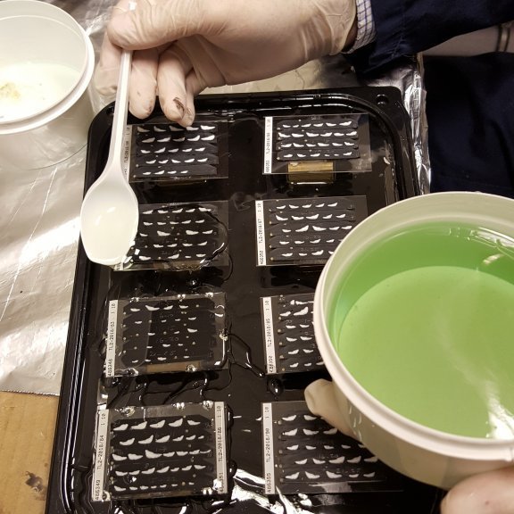 Glæru resíni hellt yfir.