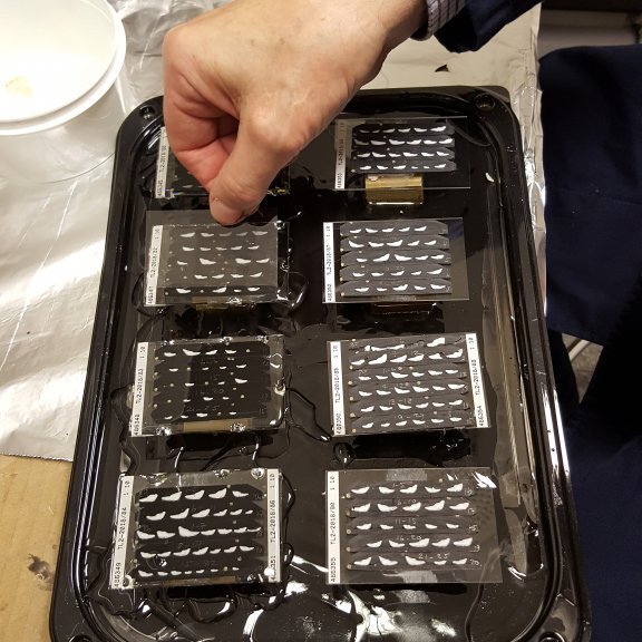 Þunnt gler sett yfir resínið. Látið þorna yfir nótt.