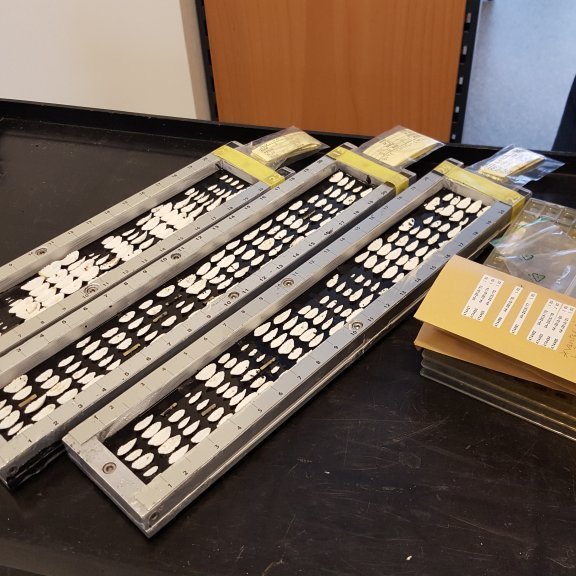 Búið að raða á bakka. Pokar merktir með aukennum fyrir glerin fylgja með.