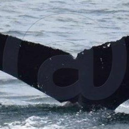 ISMN0280 (a.k.a. ISMN0292)