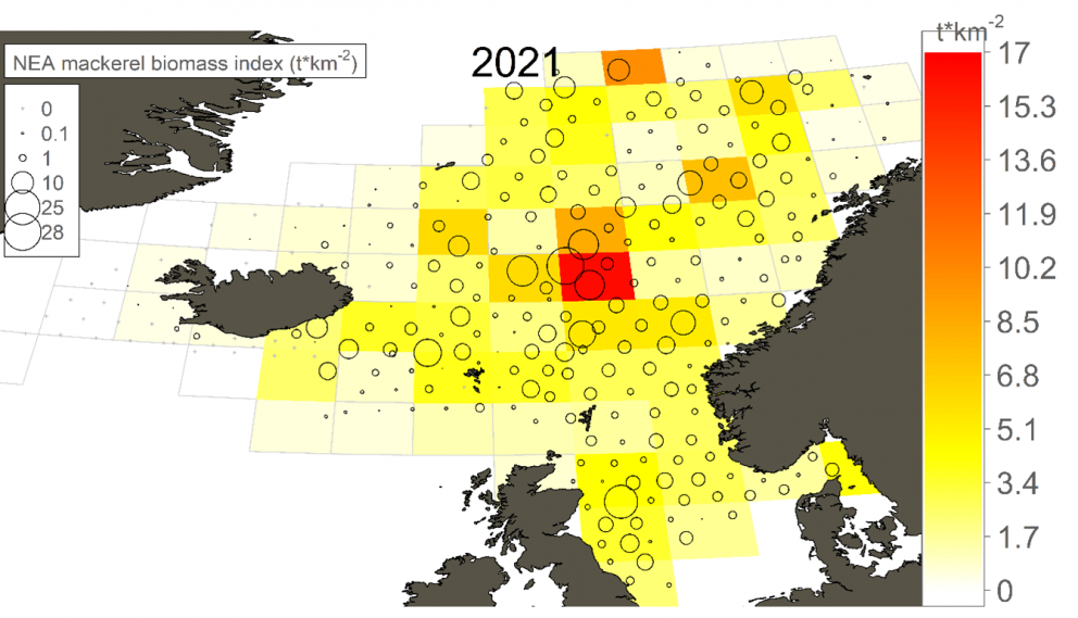 1. mynd. Vísitala um magn makríls reiknuð fyrir reiti (2 breiddargráður og 4 lengdargráður) í júní t…