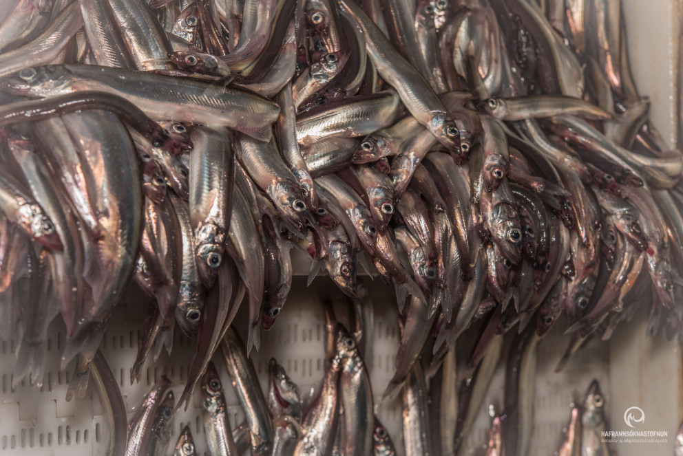 Advice released February 2, 2018