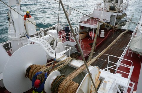 The annual international ecosystem summer survey in Nordic Seas has started