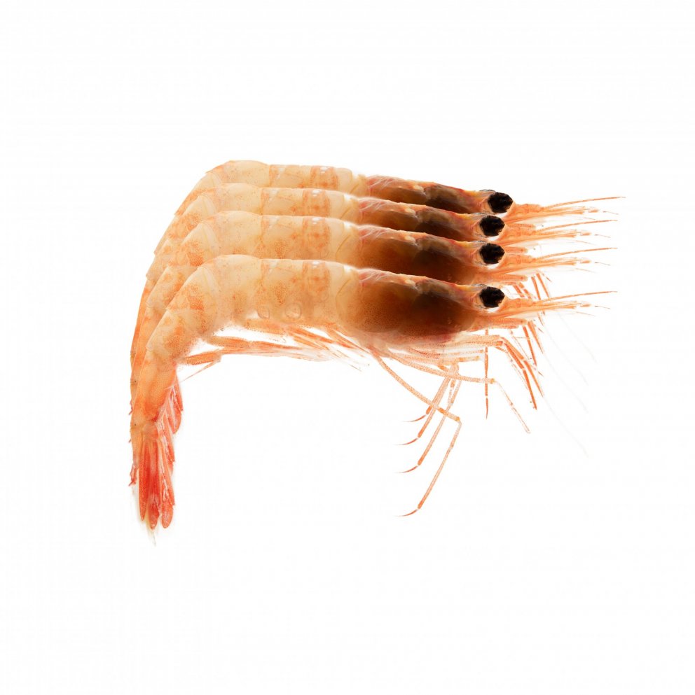 Mynd: Svanhildur Egilsdóttir.