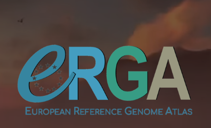 Image from ERGA webpage.