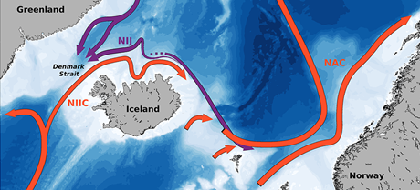 Myndin sýnir strauma við Ísland (Norður Íslands Irminger straumur, NIIC), (North Icelandic Jet, NIJ)…