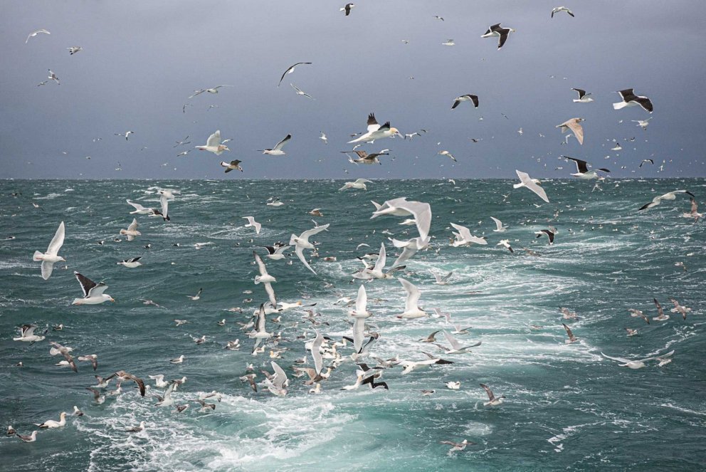 Ljósm. Svanhildur Egilsdóttir.