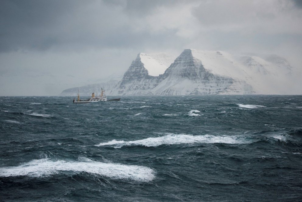 RS Bjarni Sæmundsson. Ljósm. Svanhildur Egilsdóttir.