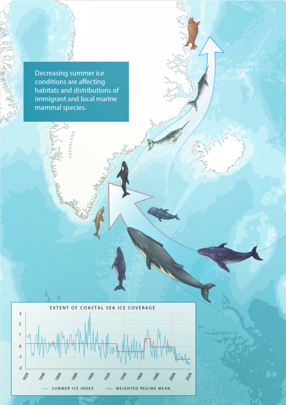 Index of sea ice extent at Southeast Greenland 1820 – 2021, and illustration of changes in cetacean …