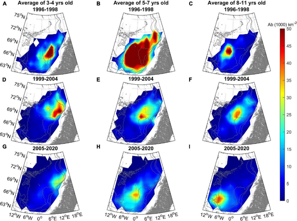Mynd 1. Dreifing (þúsundir á ferkílómeter) norsk-íslenskrar síldar samkvæmt bergmálsmælingum í Noreg…